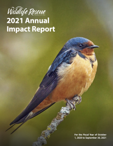 Annual Report - Wildlife Rescue Association of BC