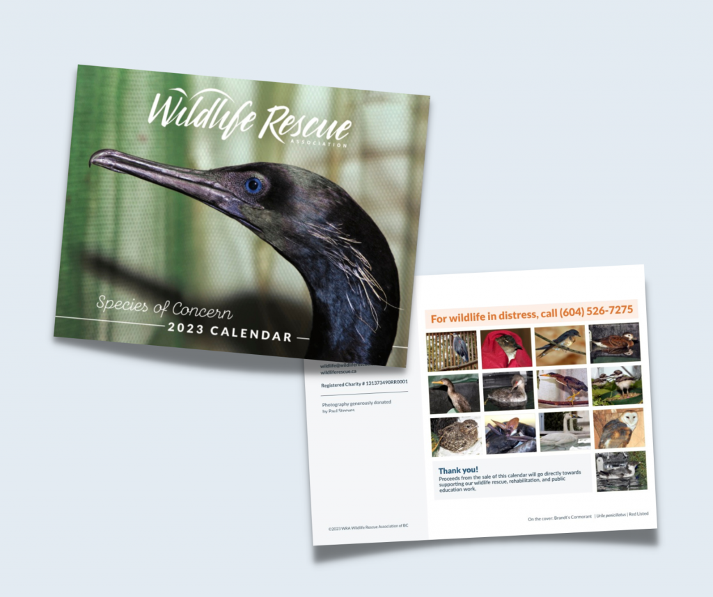 What's New - Wildlife Rescue Association of BC