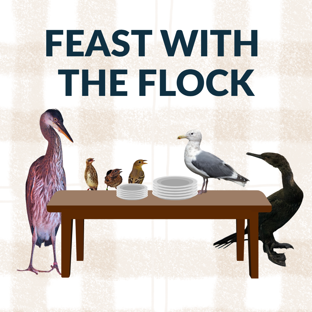 Fill the Plates of Recovering Wildlife this Thanksgiving